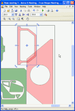 edit true shape nesting